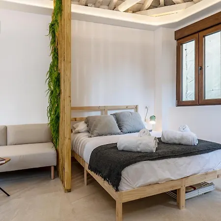 Pie De La Catedral Duplex Apartment Granada