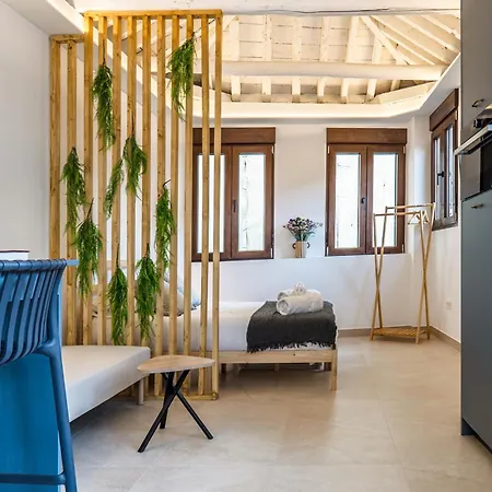 Apartamento Duplex Catedral - Terraza Granada